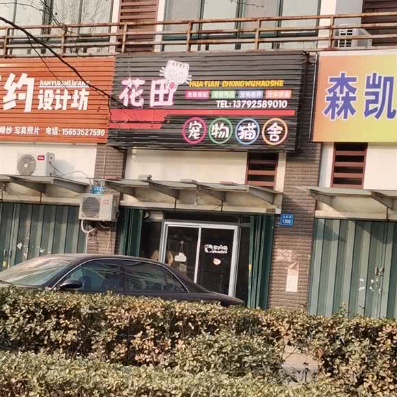 花田宠物猫舍:烟台市莱州市