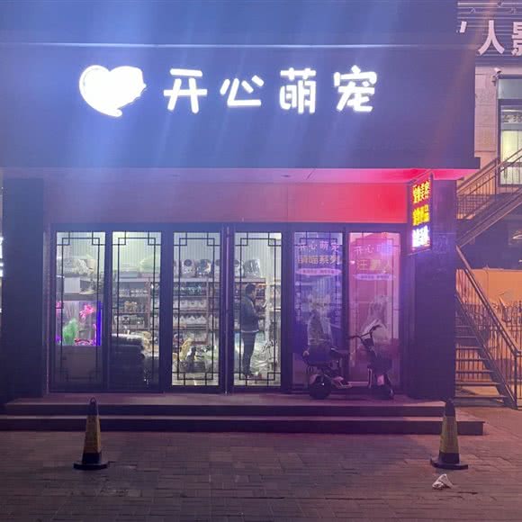 开心萌宠:烟台市招远市