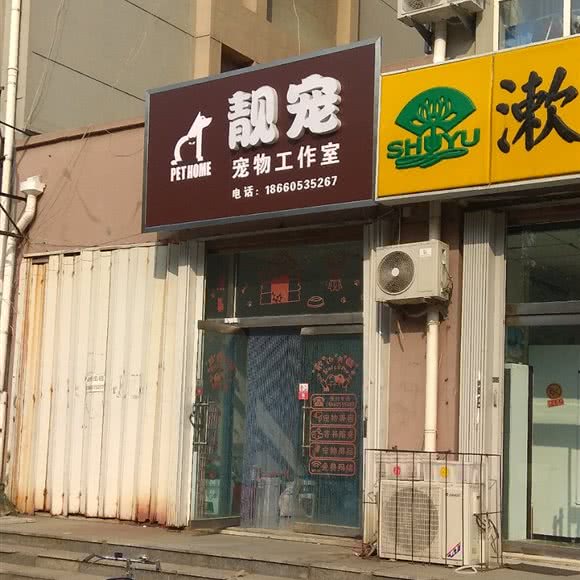 靓宠宠物工作室:烟台市招远市