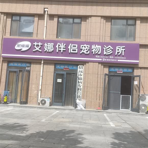 招远市宠维滋艾娜伴侣宠物会所:烟台市招远市