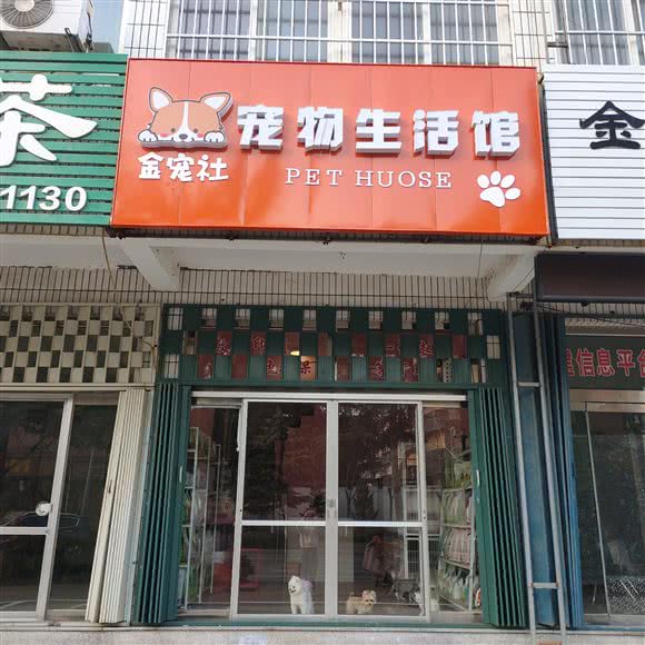 金宠社狗狗生活馆:烟台市招远市
