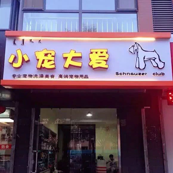 小宠大爱:呼和浩特市赛罕区发展小区附近