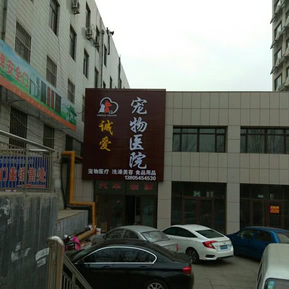 诚爱宠物医院:烟台市招远市