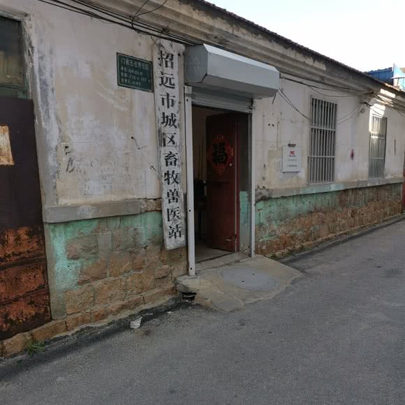 招远市城区畜牧兽医站:烟台市招远市