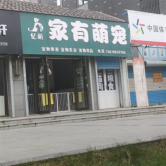 忆萌家有萌宠:烟台市栖霞市