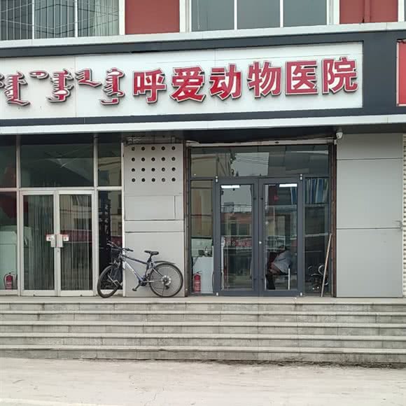 呼爱动物诊所:呼和浩特市赛罕区发展小区附近