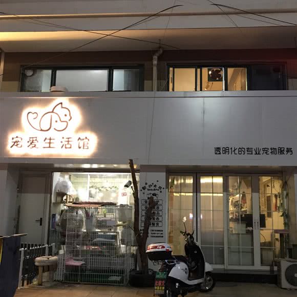 宠爱生活馆:烟台市海阳市