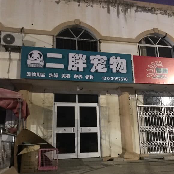 二胖宠物:烟台市海阳市