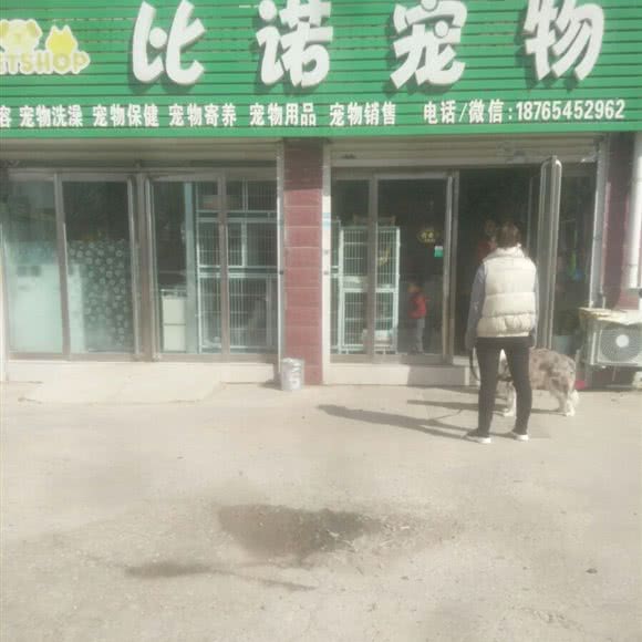 比诺宠物:烟台市海阳市