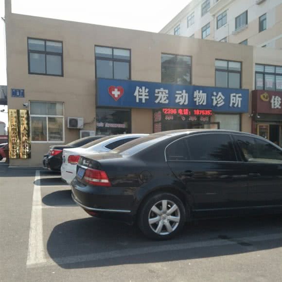 伴宠动物诊所:烟台市海阳市