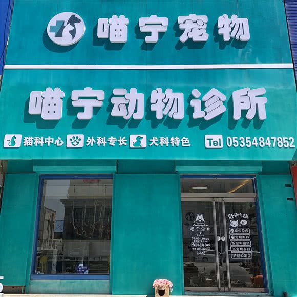 喵宁动物诊所:烟台市海阳市