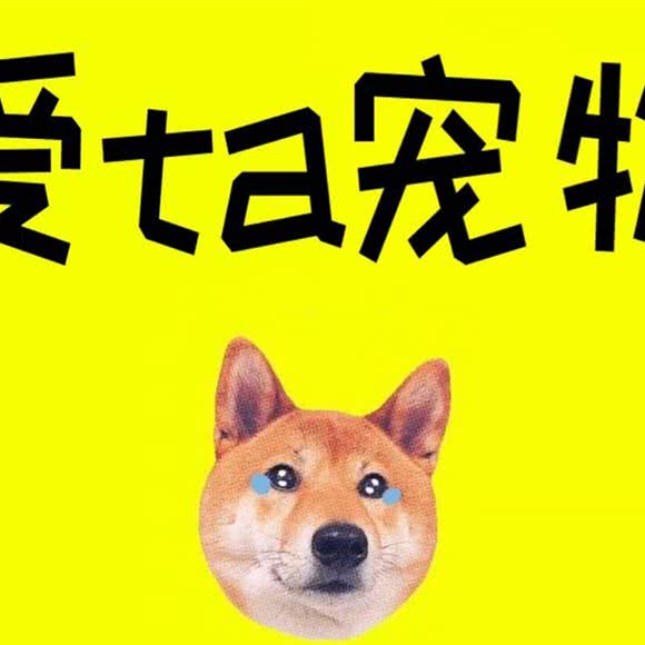 爱Ta宠物(上城店):潍坊市潍城区