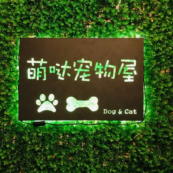 萌哒宠物:呼和浩特市赛罕区金桥附近