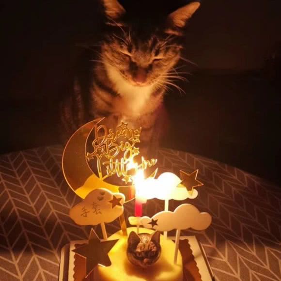 宠吖宠物蛋糕工作室猫狗吃的:呼和浩特市赛罕区金桥附近