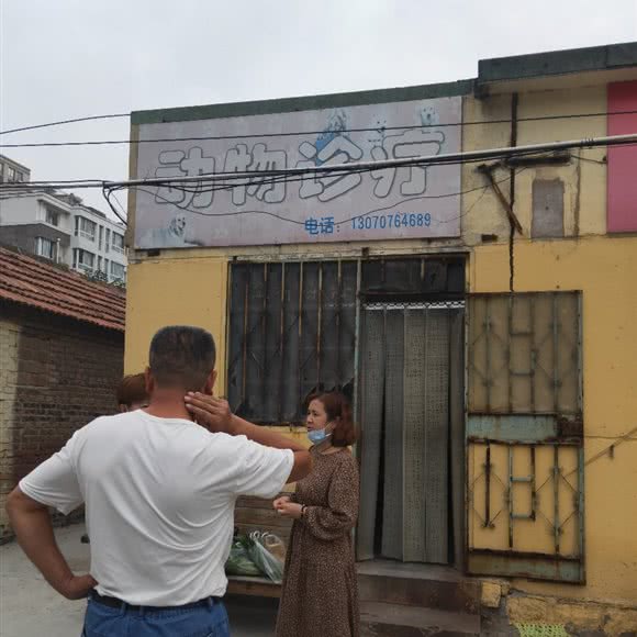 哺乳动物诊疗:潍坊市潍城区