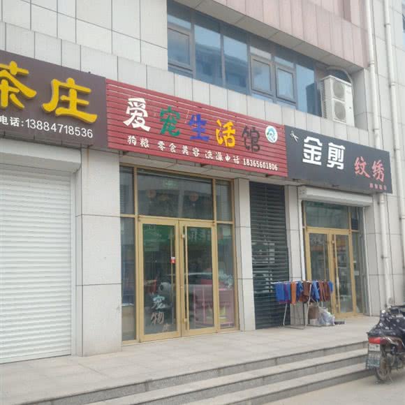 爱宠生活馆:潍坊市坊子区
