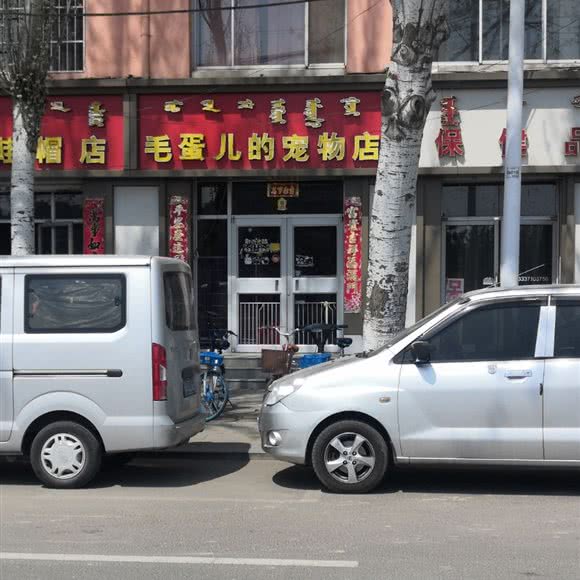 毛蛋儿的宠物店:呼和浩特市赛罕区师大附近