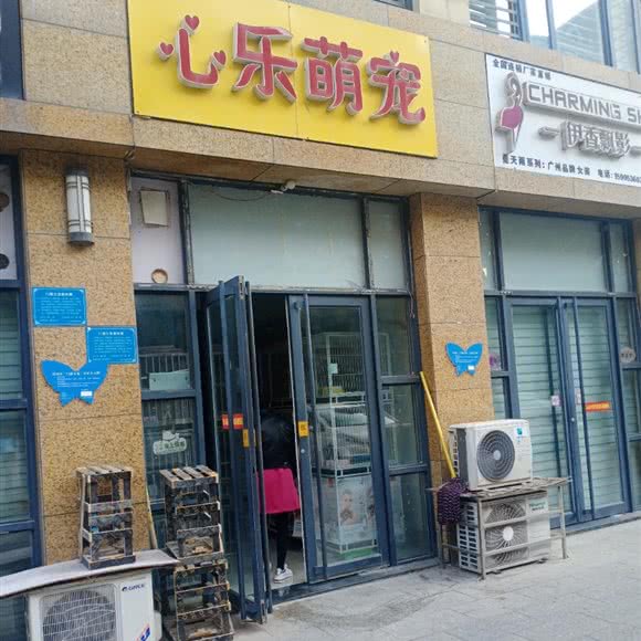心乐萌宠:潍坊市奎文区