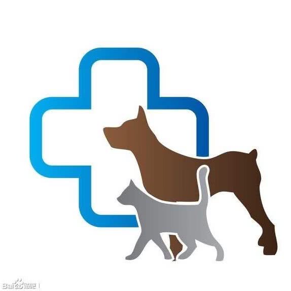 益宠动物医院:潍坊市奎文区