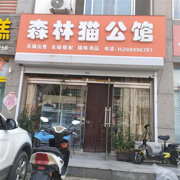 森林猫公馆:潍坊市昌乐县
