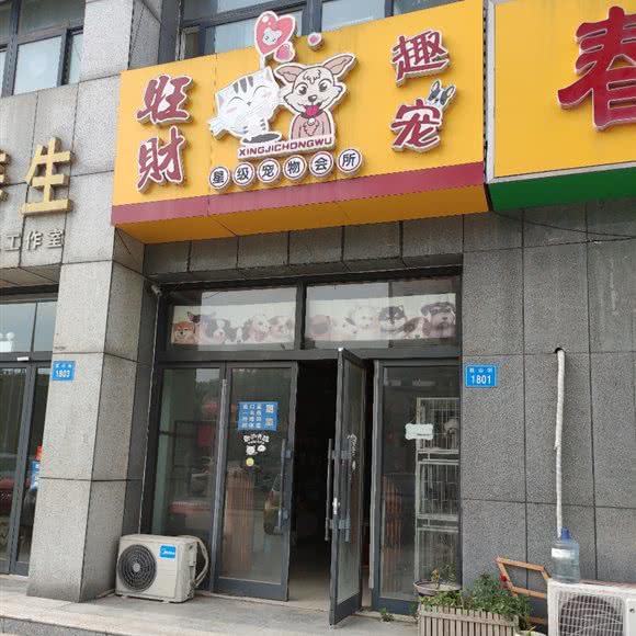 旺财趣宠:潍坊市昌乐县