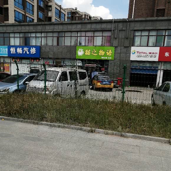 猫之物语:潍坊市昌乐县