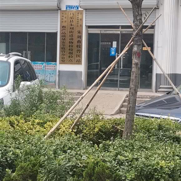 动物门诊:潍坊市昌乐县