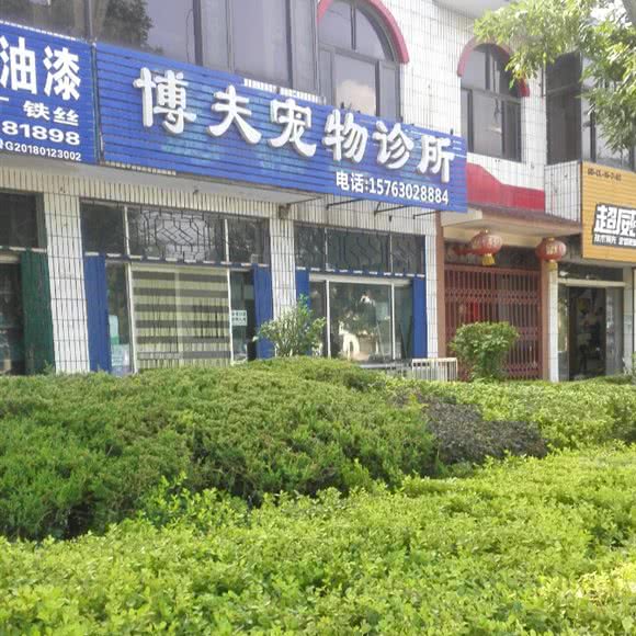 博夫宠物诊所:潍坊市昌乐县