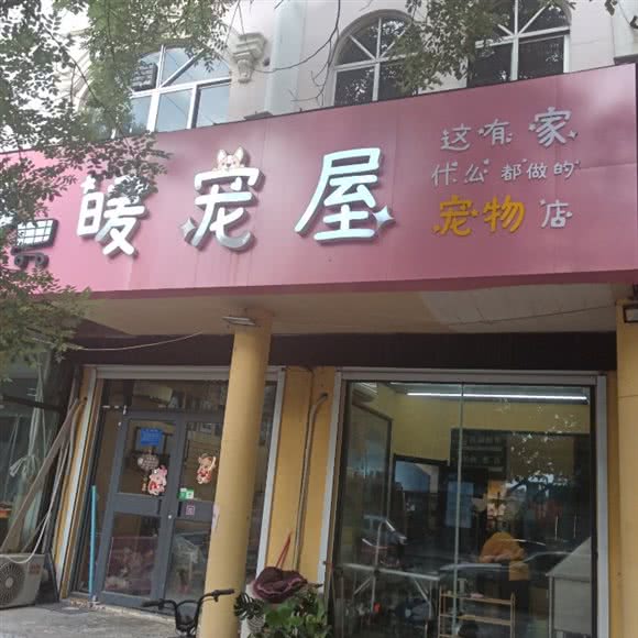 暖宠屋 C6猫小院猫咖:潍坊市青州市