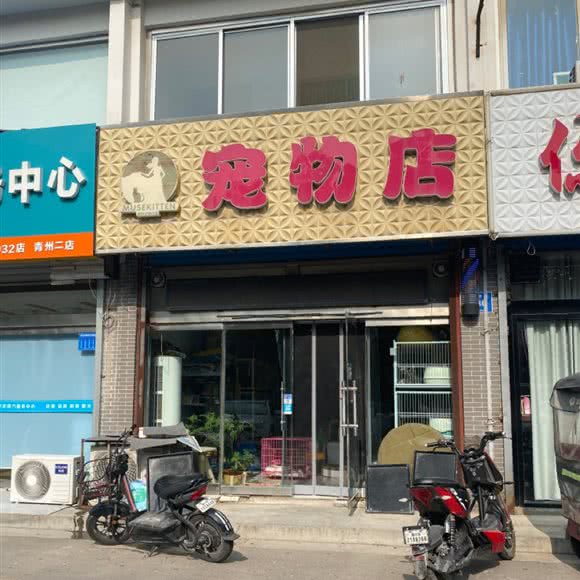 宠物店:潍坊市青州市