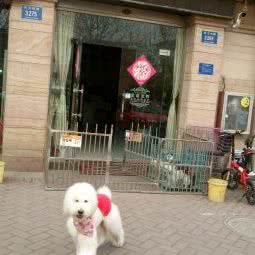 爱诺宠物店:潍坊市青州市