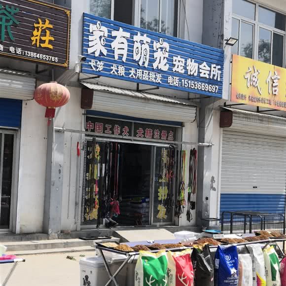 家有萌宠宠物会所(富民路店):潍坊市青州市