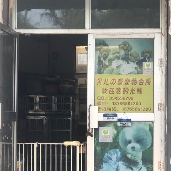 贝儿的家宠物会所:潍坊市青州市