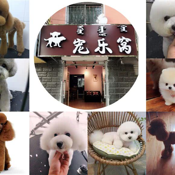 宠乐窝宠物生活馆:呼和浩特市赛罕区仕奇公园附近