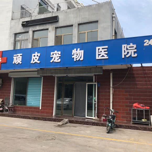 顽皮宠物医院:潍坊市青州市