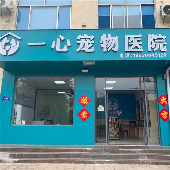 一心宠物医院:潍坊市青州市