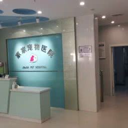 家家宠物医院:潍坊市青州市