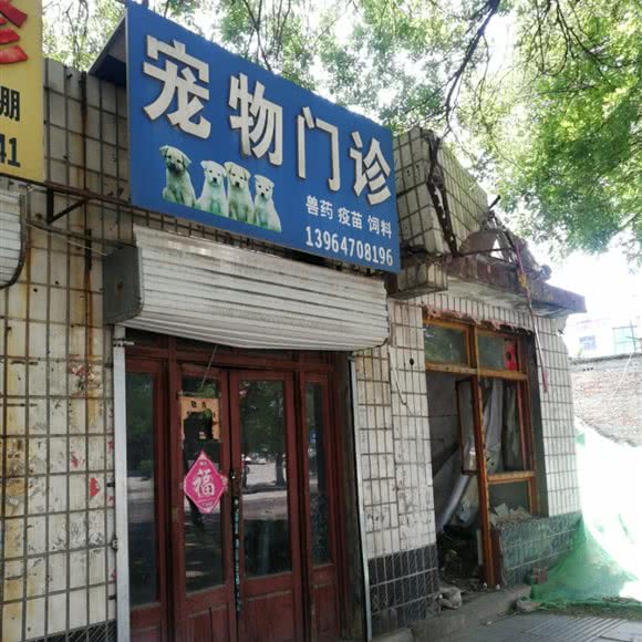 宠物门诊:潍坊市青州市