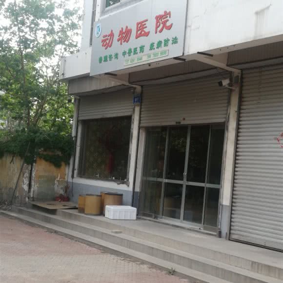 动物医院:潍坊市青州市