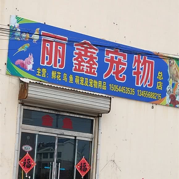 丽鑫宠物:潍坊市诸城市