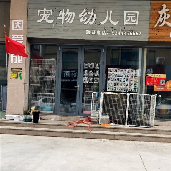 宠物幼儿园:潍坊市诸城市