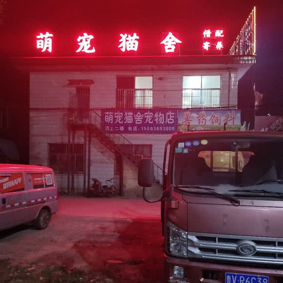 萌宠猫舍:潍坊市诸城市