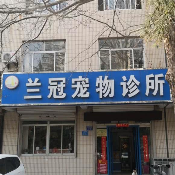 兰冠 宠物 诊所:潍坊市诸城市