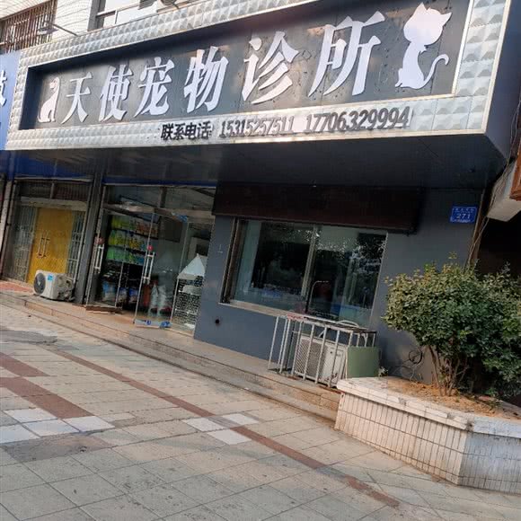 天使宠物诊所:潍坊市诸城市