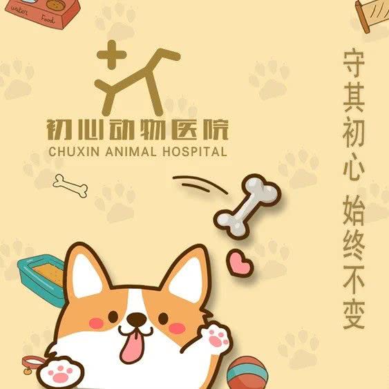 初心动物医院(诸城分院):潍坊市诸城市