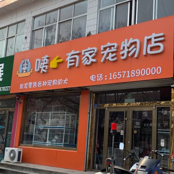 咦有家动物店:潍坊市寿光市