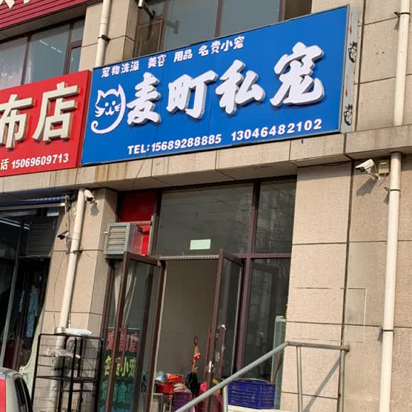 麦町私宠:潍坊市寿光市