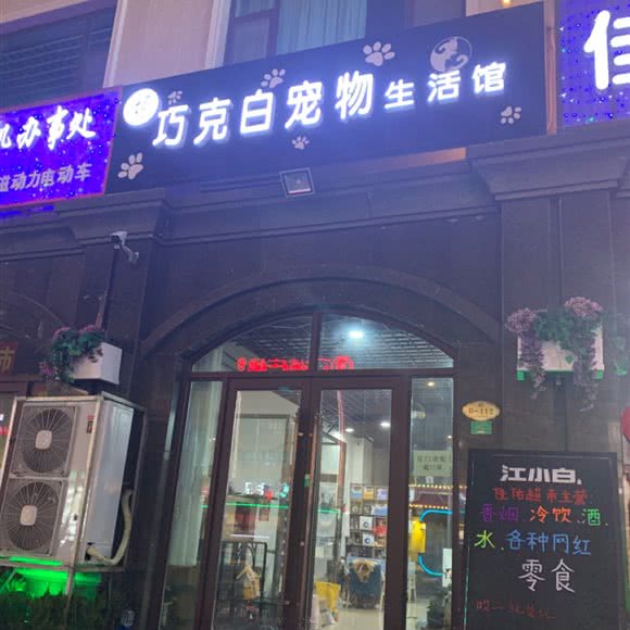 巧克白宠物生活馆:潍坊市寿光市