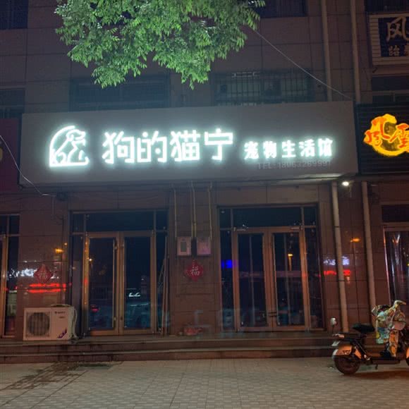 狗的猫宁宠物生活馆:潍坊市寿光市