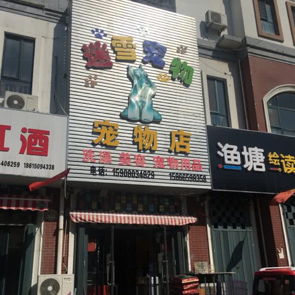 迷雪宠物:潍坊市寿光市